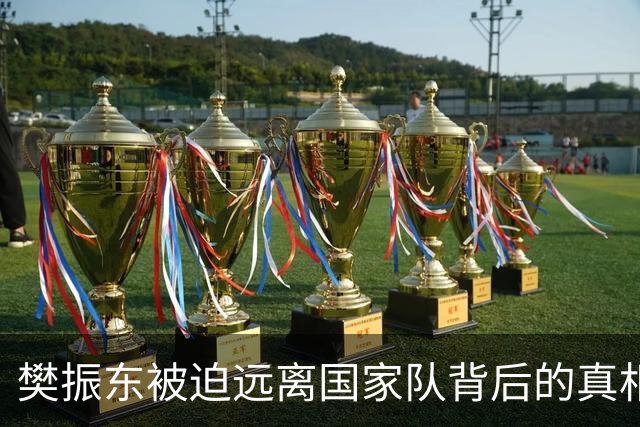 樊振东被迫远离国家队背后的真相与隐痛